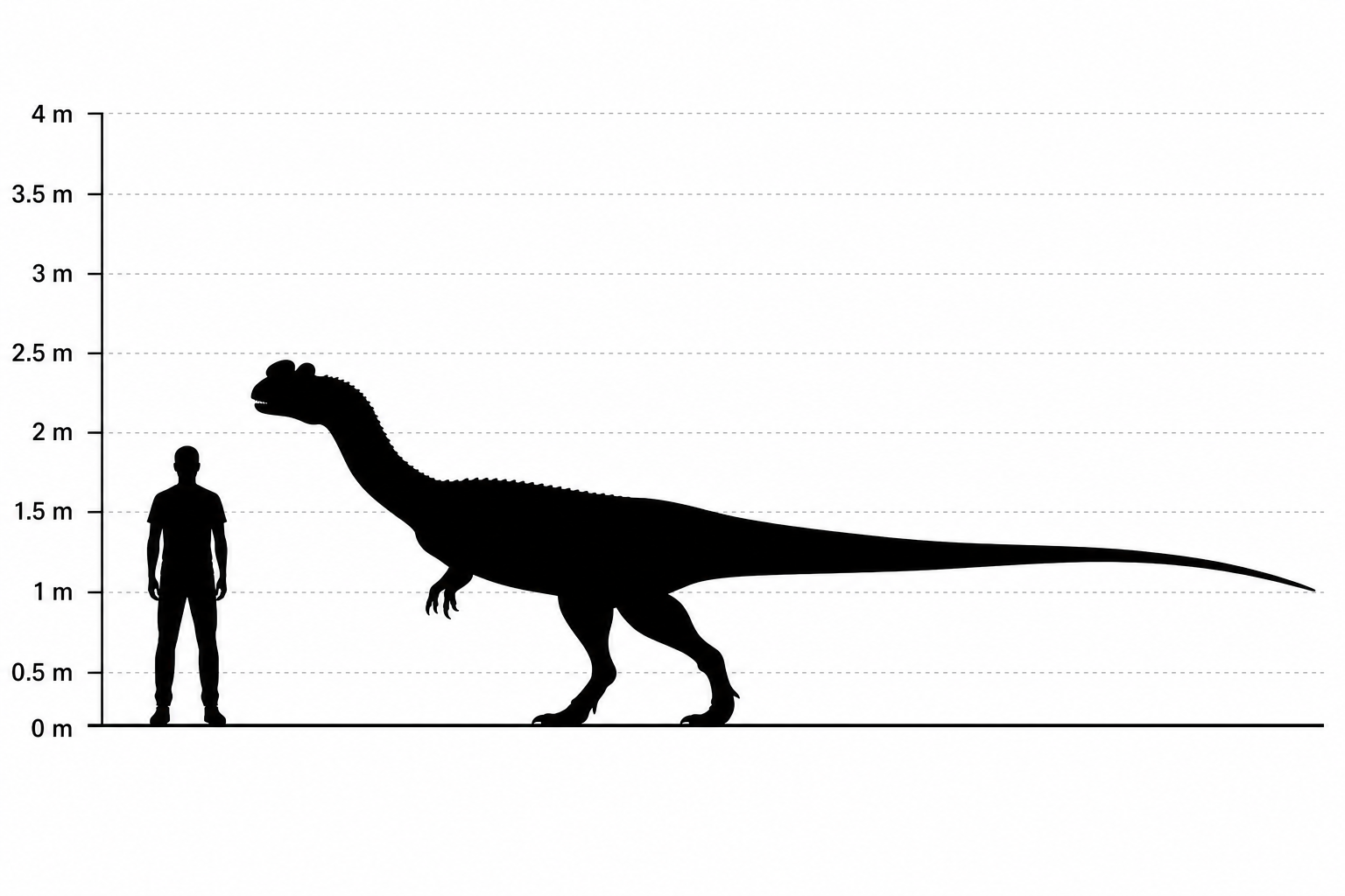 Comparaison de taille entre un Dilophosaurus wetherilli et un humain adulte de 1,80 m, silhouettes noires à l'échelle, le dinosaure dépassant largement la hauteur de l'homme