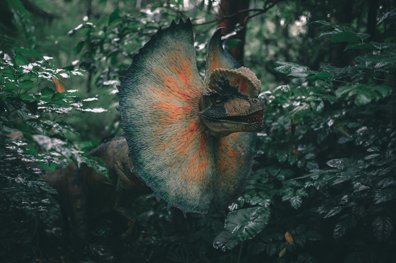 Modèle du Dilophosaure à la manière de Jurassic Park, large collerette déployée autour du cou et crête visible sur le crâne, dans une végétation tropicale