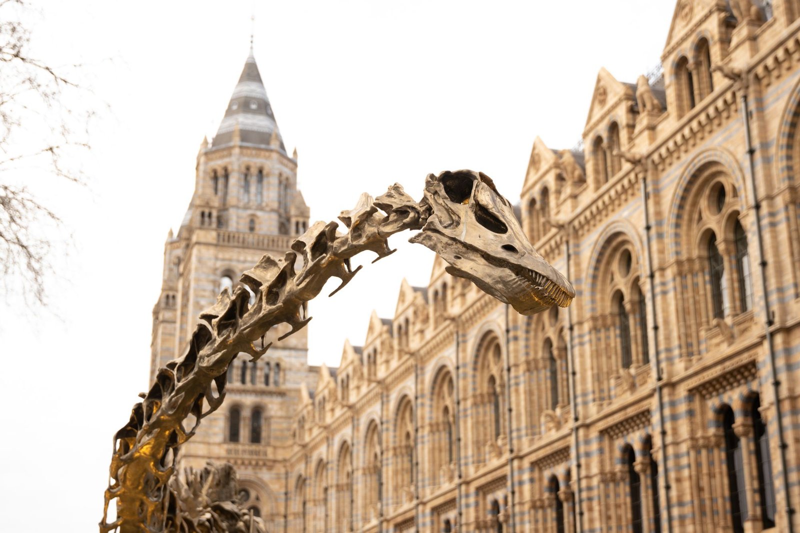 Le squelette de Diplodocus exposé devant la façade néo-romane du Natural History Museum de Londres
