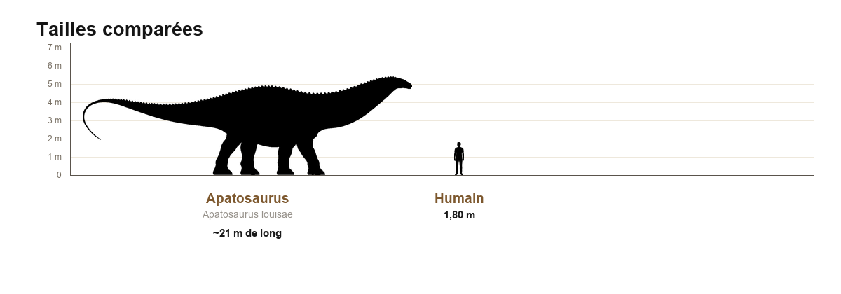 Comparaison de taille en silhouettes noires entre un Apatosaurus et un humain adulte de 1,80 m